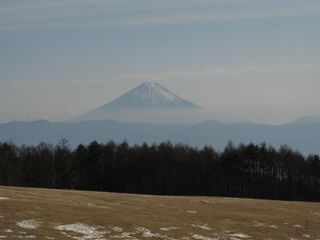p11012163u.jpg