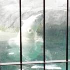北極熊(43WR)