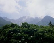 七竈と山(PEN-FT)