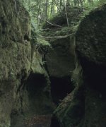 苔の洞門(PEN-FT)
