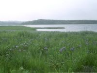 生花内湖の風景(Olympus35k)