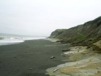 海岸(Olympus35K)