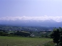 千望峠からの眺め(PEN-FT)