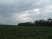 畑(A710IS)