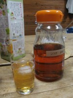 小桑酒(SX120IS)