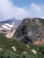 黄花石楠花と十勝岳と上ホロカメットク山(PEN-FT)