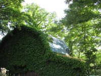 緑の家(SX120IS)