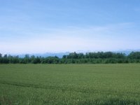 麦畑と日高山脈(PEN-FT)