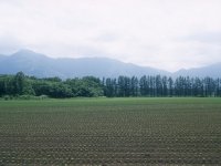 畑(PEN-FT)